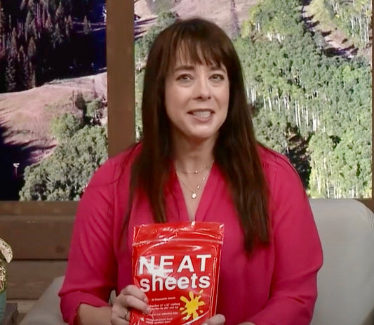 Talking NEATsheets With Park City Television