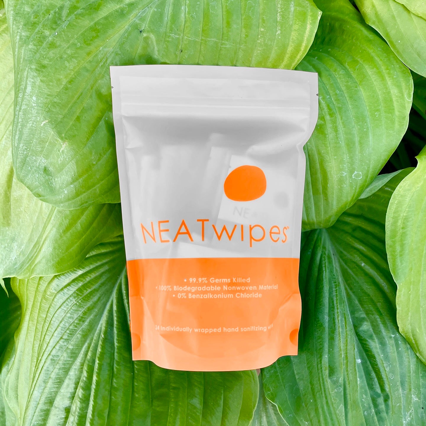 A 24-Count pouch of NEATwipes Fresh Citrus hand wipes.